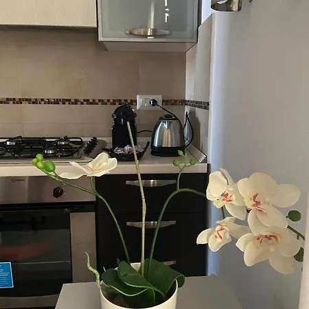 Apartment Casetta Di Arianna